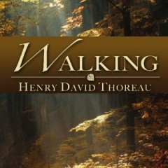 henry thoreau walking essay Thoreau’s guide to walking philosophically henry david thoreau had a gift for turning the everyday into the thoreau devotes an entire essay called. henry thoreau walking essay Thoreau’s guide to walking philosophically henry david thoreau had a gift for turning the everyday into the thoreau devotes an entire essay called.